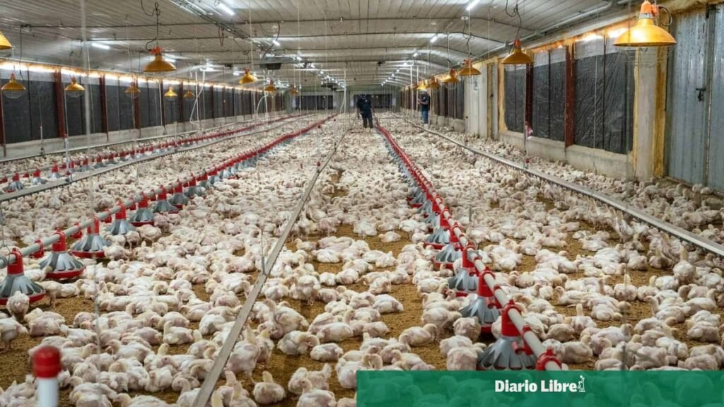 ADA respalda la ley que deja sin anticipo del ISR al agro y pide medir su efecto real