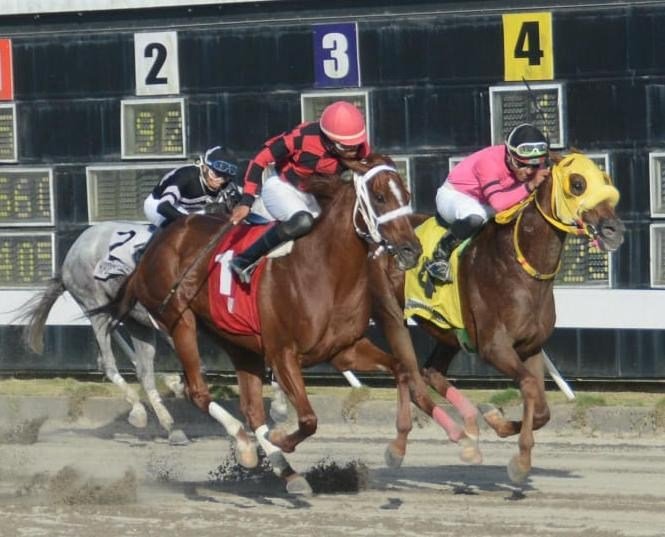 Anulación de la cuarta carrera condiciona la jornada en el Quinto Centenario, pese al pool de RD$52,456.00