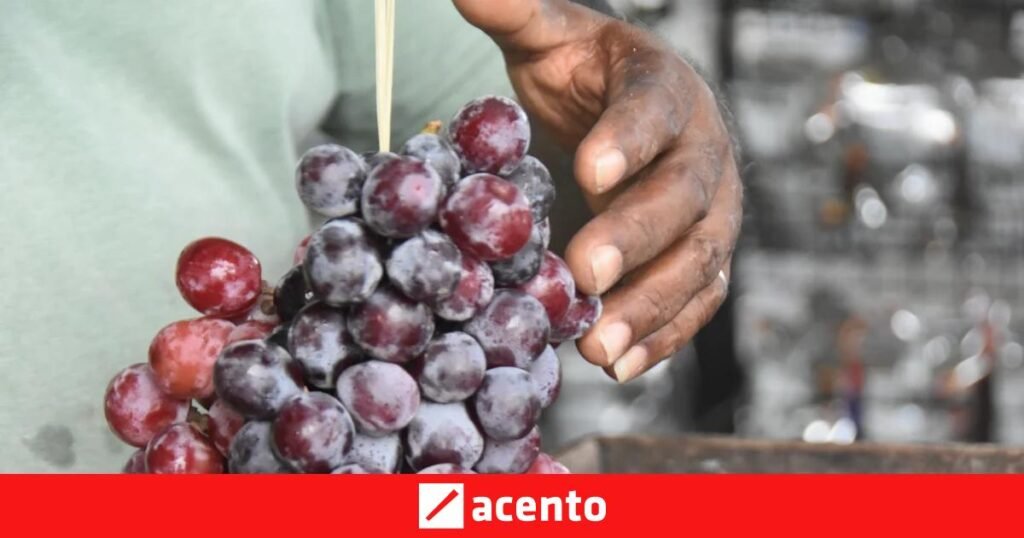 Uvas y vinos al borde de la carretera sostienen la economía del cruce de Vicente Noble