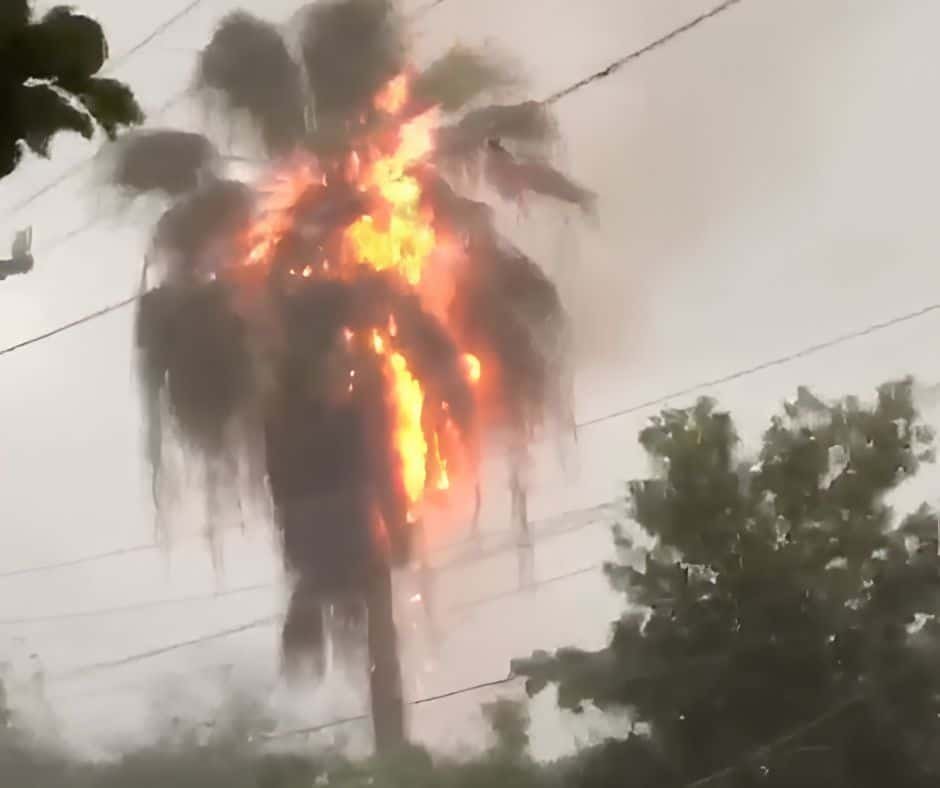 Incendio en una vivienda de La Vega tras caer un rayo sobre una palma