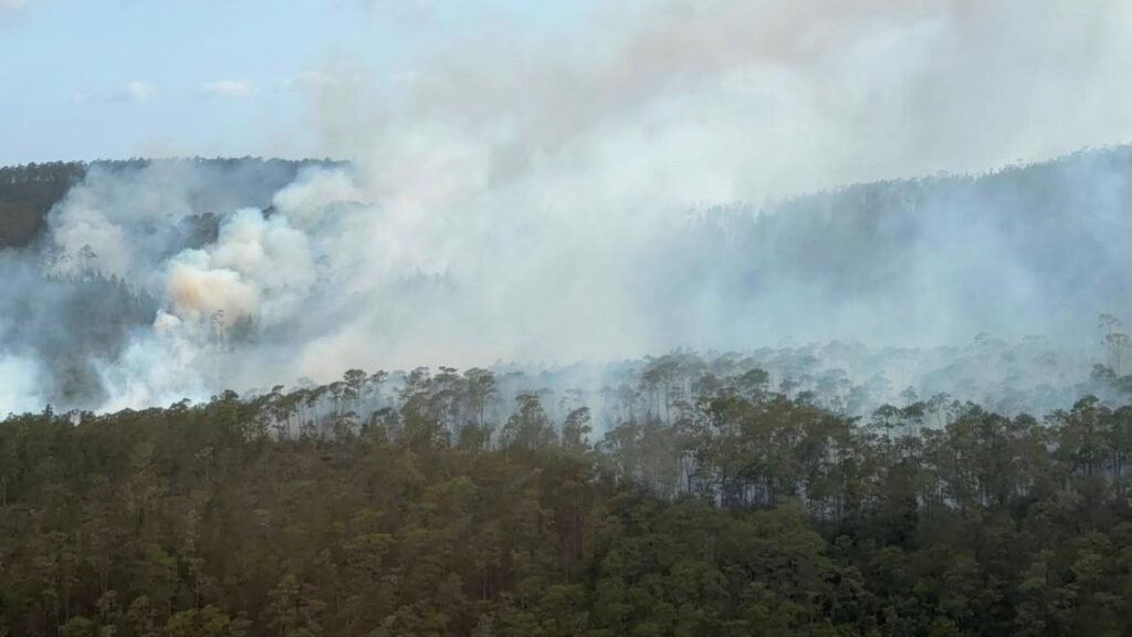 Sierra de Bahoruco sigue bajo presión por un incendio que aún no cede