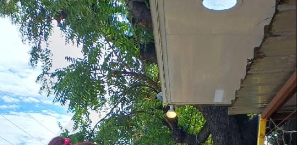 Baní abre hoy la Feria del Mango con sede alterna por obras en el parque municipal