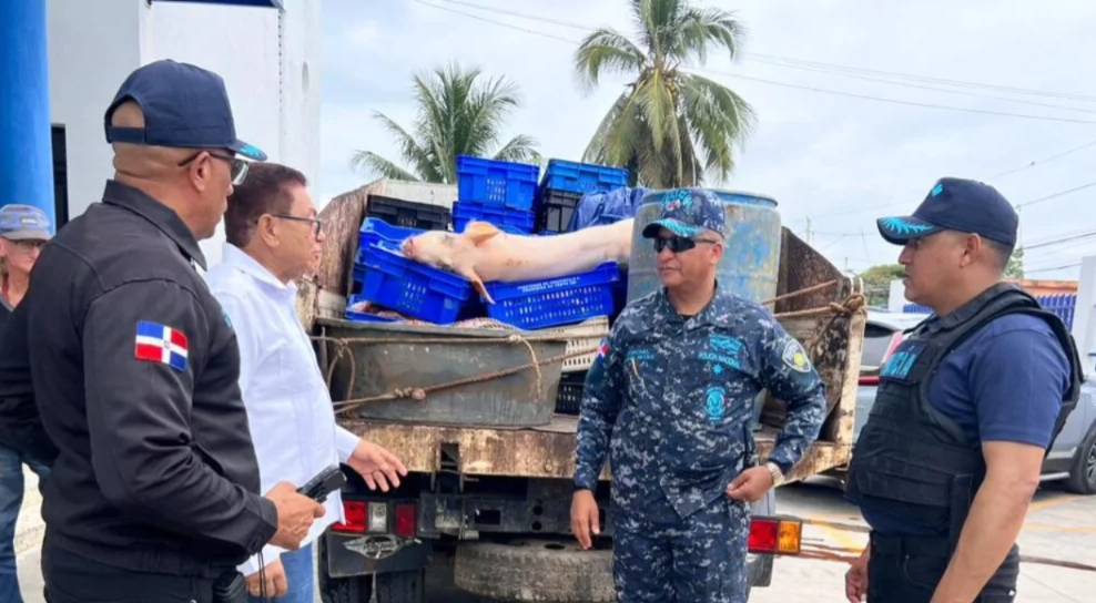 Desmantelan en Río San Juan un matadero clandestino con más de dos toneladas de carne descompuesta