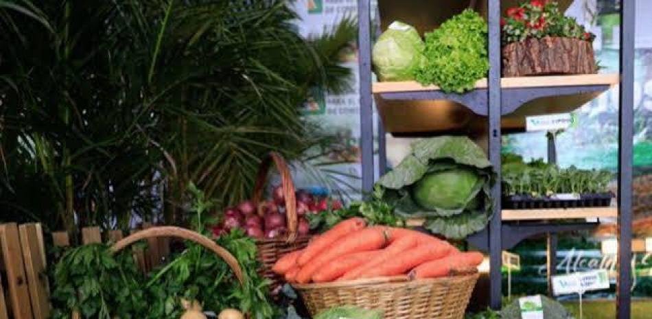 Importaciones, costos y deudas golpean a productores de Constanza