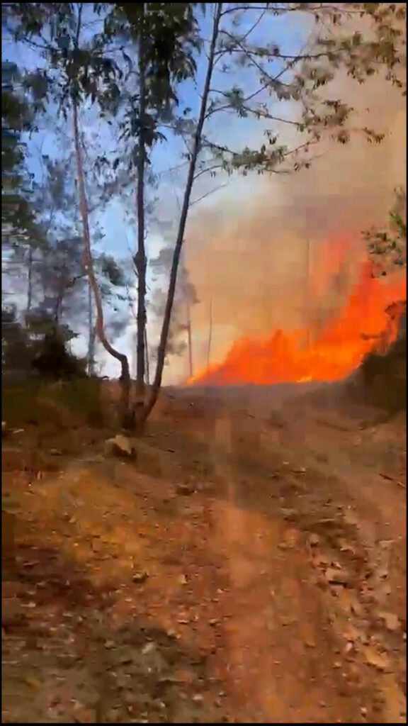 Sigue activo el incendio de El Naranjo y las autoridades aún no cuantifican el daño