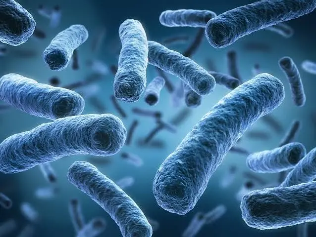 Legionela en Nueva York: cinco muertes y 82 contagios mantienen la alerta pese al avance de la limpieza