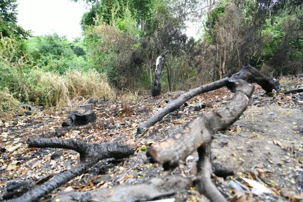 Basura e incendios agravan el deterioro en la ribera del Yaque del Norte