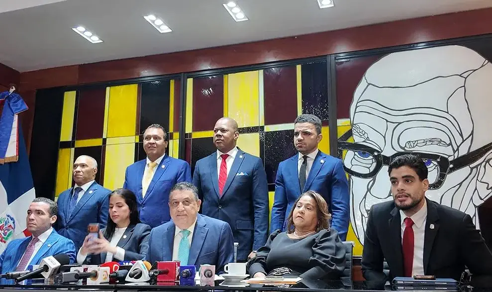 PLD lleva al Congreso crisis en maternidad y apagones con pedido de interpelación a cuatro funcionarios
