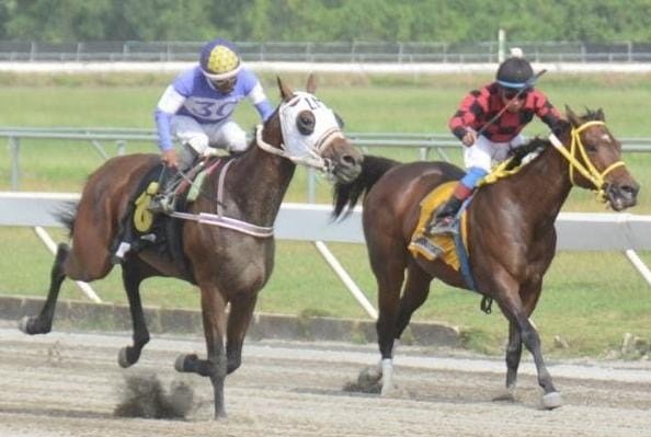 Una doble de Novas y la anulación de una carrera marcan la cartelera del Quinto Centenario
